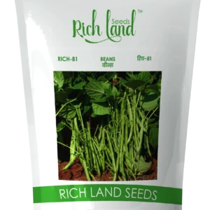 Beans Seeds