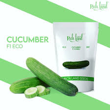 Home Page import placeholder for 135