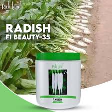 Home Page import placeholder for 733