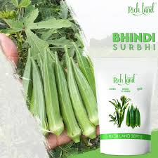 Home Page import placeholder for 734